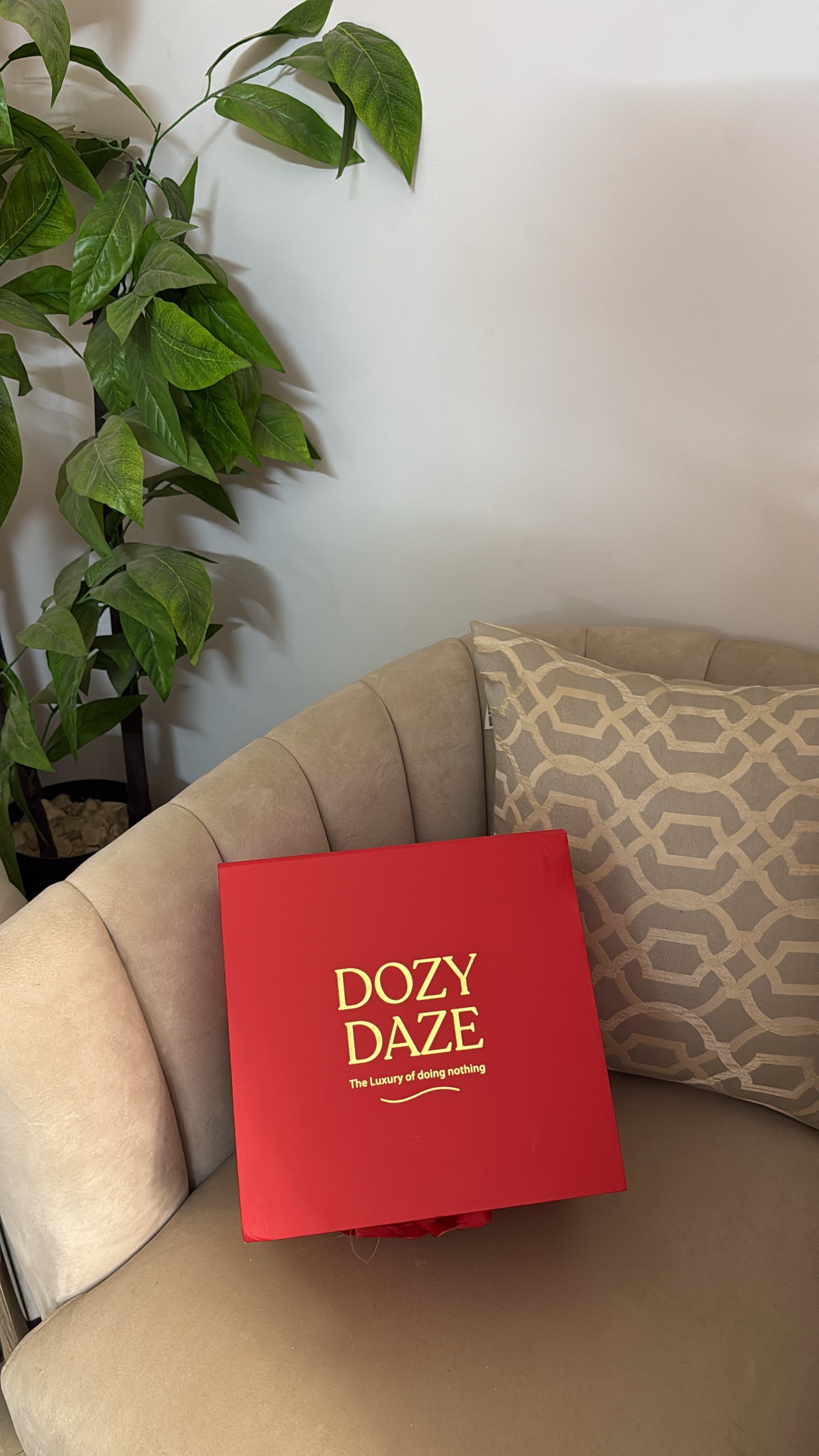 The perfect Add-On🎁